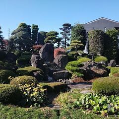 庭石あげますの画像