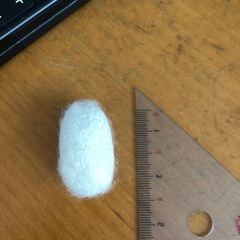 繭玉20個の画像