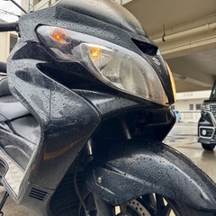 スカイウェイブ250 cj44  売りの画像