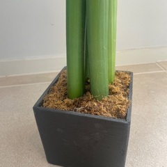 アマリリスの造花の画像