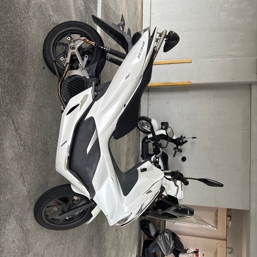 PCX81白