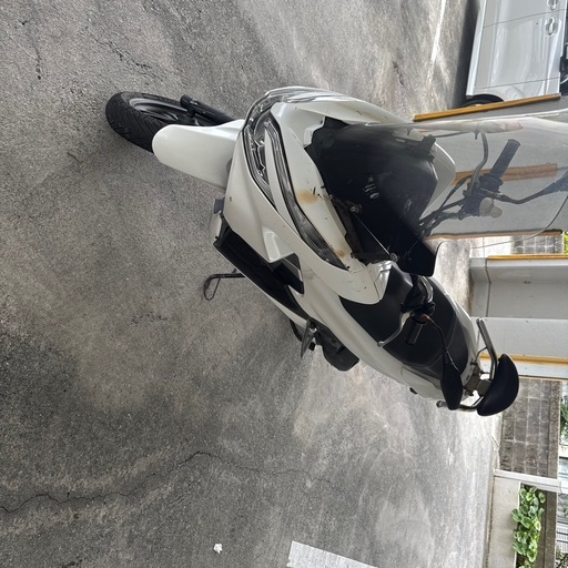 PCX81白