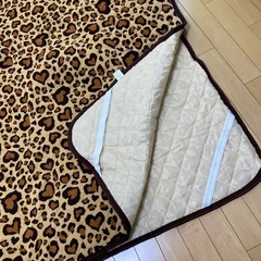 カーペットの画像