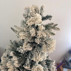 クリスマスツリーの画像