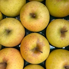 シナノゴールドりんご1箱の画像