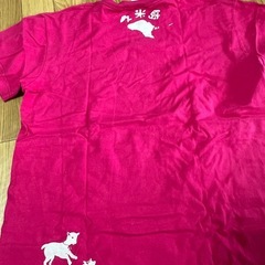 久米島Tシャツ の画像