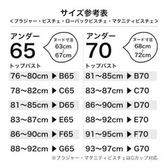 ビスチェ　ブライダルインナー　ローバック　花嫁　結婚式　ウェディング　ガードル　セット　ブラ　Ｂ70 の画像