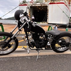 ヘイスト250の画像