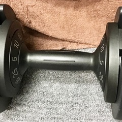 ダイヤル可変式ダンベル2個セット RIORES 5-25kgの画像