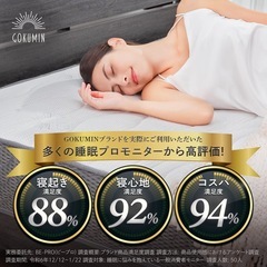 GOKUMIN セミダブルマットレスの画像