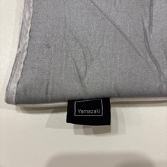 ±0  スタイルスチーマー　の画像