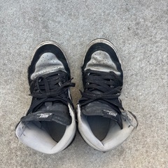 エアジョーダン25センチの画像