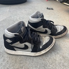 エアジョーダン25センチの画像