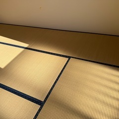 置き畳　薄畳　畳 　たたみ　6畳分　模様替え　赤ちゃんの遊び場　和室化の画像