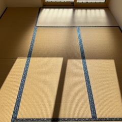 置き畳　薄畳　畳 　たたみ　6畳分　模様替え　赤ちゃんの遊び場　和室化の画像