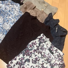 シニア　トップスの画像