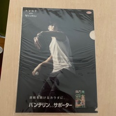 大谷翔平クリアファイル１０枚セットの画像