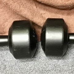 プラスチックダンベル 5kg×2本の画像