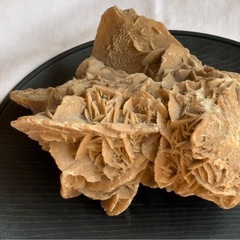 いきなり半額‼️砂漠のバラの画像