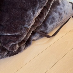 （受渡し者決定）お昼寝ごろ寝マットの画像