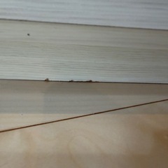 Francfranc フランフラン パセ　TVボード　TV
台の画像