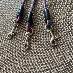 犬　3頭引き　リードの画像