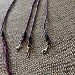 犬　3頭引き　リードの画像