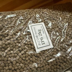 水作ジャンボ交換用フィルター　綿　乙姫　まとめての画像