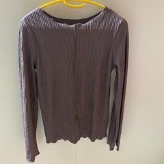 レディーストップスの画像