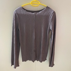 レディーストップスの画像