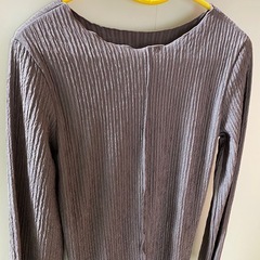 レディーストップスの画像