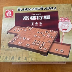 遊びやすい本格将棋セットの画像