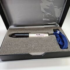 BANSHAIN BS-11 ジャンク ライト点灯 部品取り 修理前提の画像