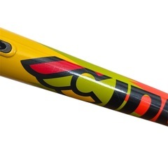 Cinelli VIGORELLI ROAD S(50) フレームセット チネリの画像