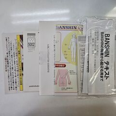 BANSHAIN BS-11 ジャンク ライト点灯 部品取り 修理前提の画像