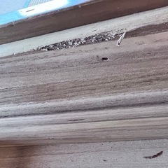 洋服タンス　収納の画像