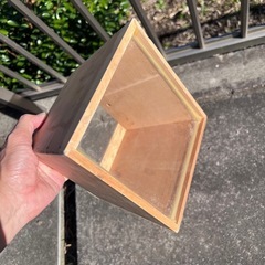 箱メガネの画像