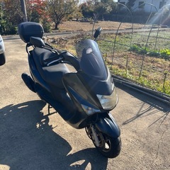 マジェスティ125の画像