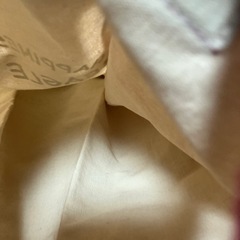 スヌーピートートバッグ&膝掛けの画像