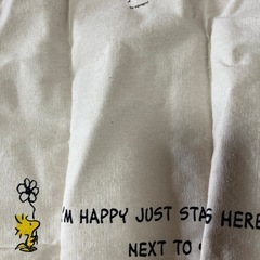 スヌーピートートバッグ&膝掛けの画像