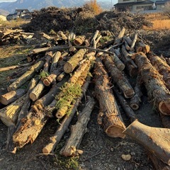 薪用丸太の画像