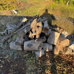 薪用丸太の画像
