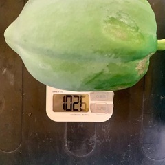 パパイヤの画像