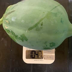 パパイヤの画像