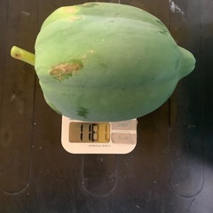 パパイヤの画像