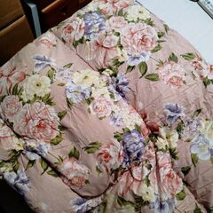 🔵🟥羽毛布団🔷🔴ペアセット(シングルサイズ : 青色 / 赤色)寒くなる前にいかがですか？の画像