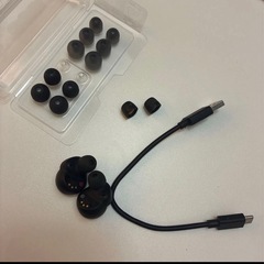 SONY WF-1000XM4　ワイヤレスイヤホンの画像