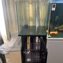 オーバーフロー 水槽  45cmの画像