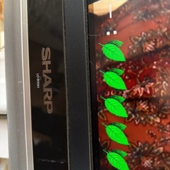 テレビジャンクの画像