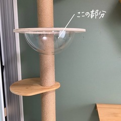 猫タワーの透明ボウルの画像